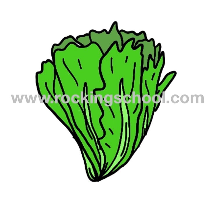 clipart lettuce cartoon drawing clip art