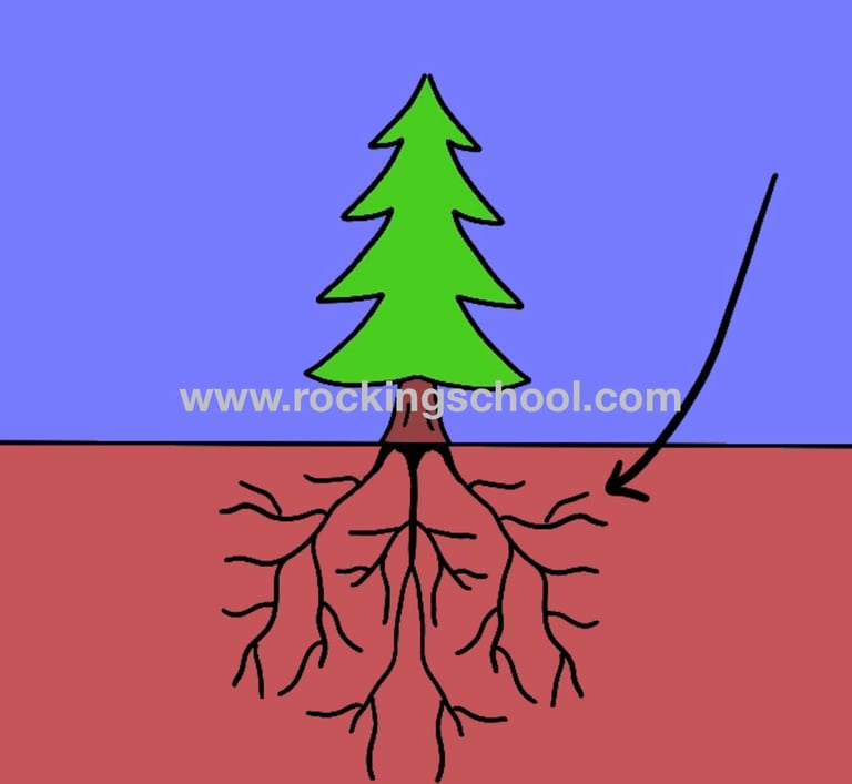 clipart roots cartoon drawing clip art
