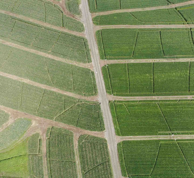 Foto de dron de campo agrícola en Ecuador