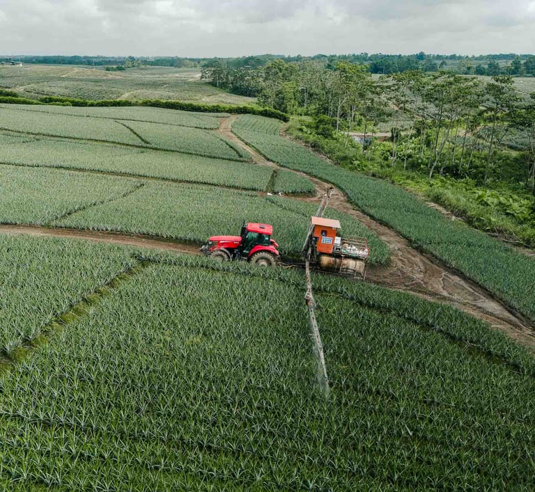 foto de dron de tractor fumigando plantación agrícola en ecuador