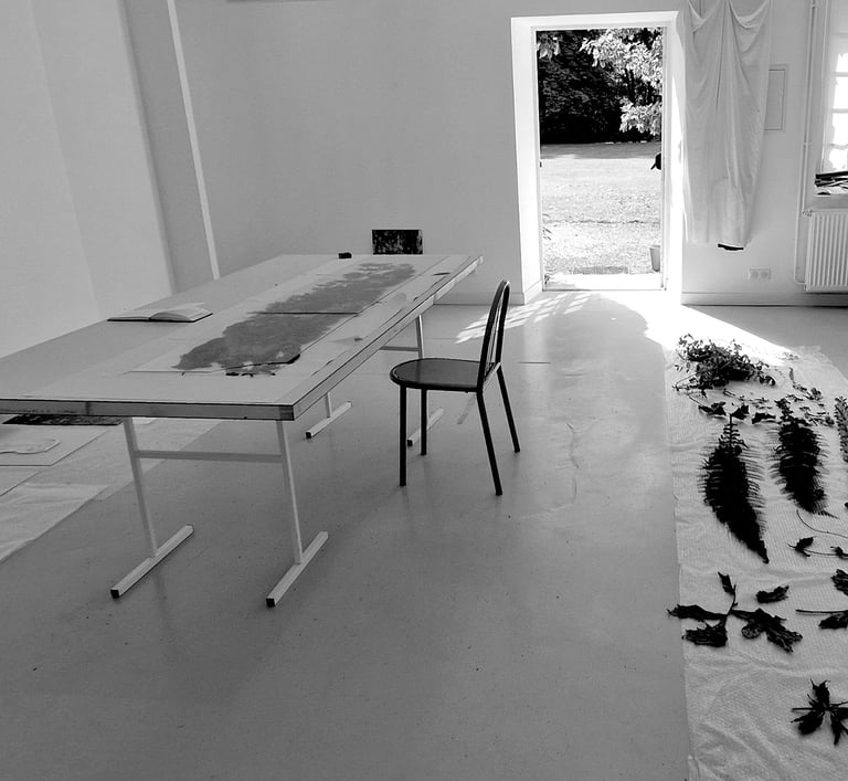 Atelier Raphaelle Peria Artiste Art contemporain
