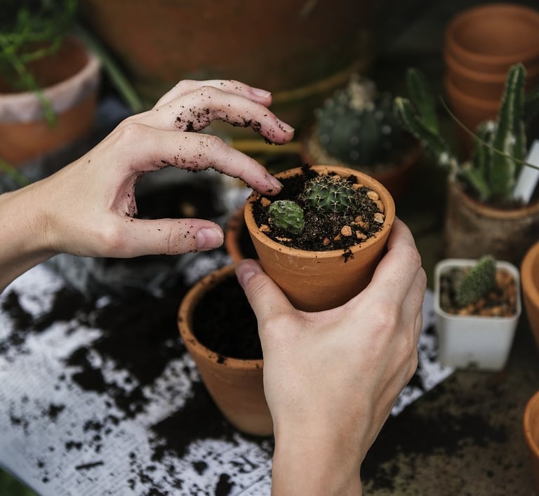 pot de jardinage marron