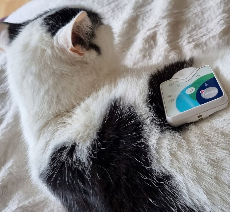 A Healy frequency therapy device resting on a sleeping black and white cat for pet wellness.