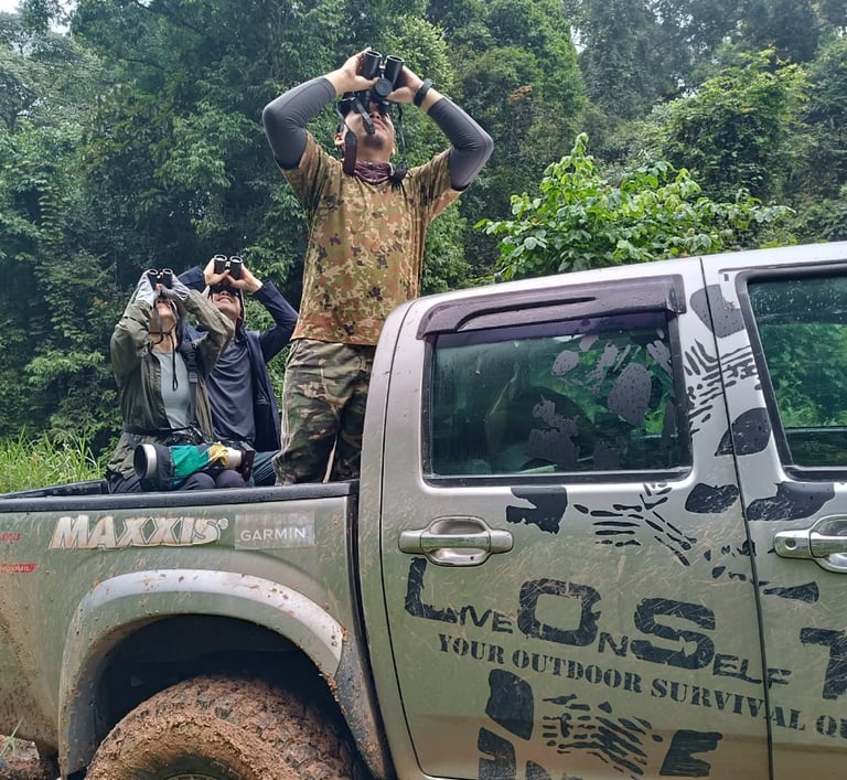 lost borneo guide in camouflage gear is observing wildlife with two visitors using binoculars