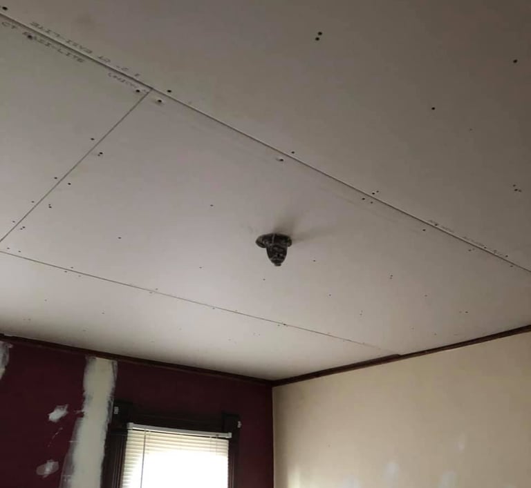 drywall ceiling just hung