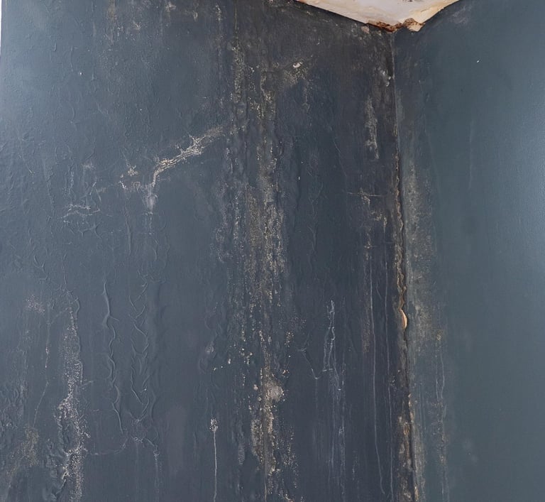 black mold on ceiling drywall from leak