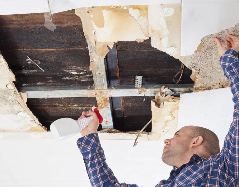 removing moldy drywall and spraying to kill mold