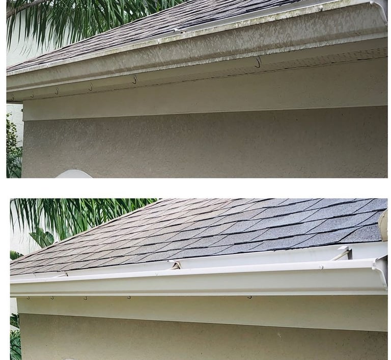 gutter cleaning new port richey fl