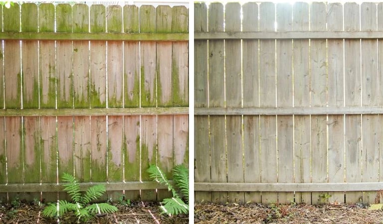 Wood fence before and after cleaning in Land O' Lakes, FL