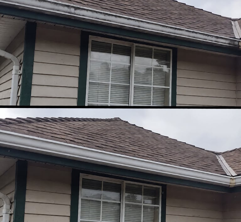 gutter cleaning holiday fl soft wash
