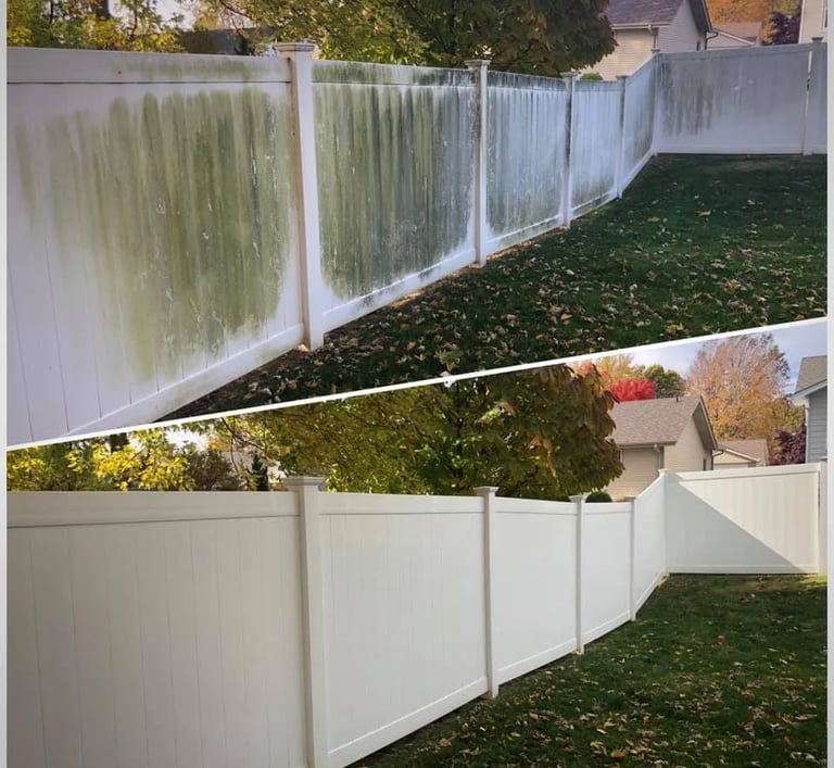 Vinyl fence washing in Palm Harbor, FL—removing mold, mildew, and algae 
