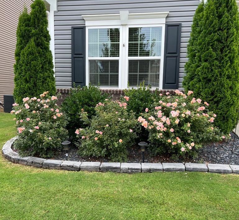 Front flowerbed with shrubs, newly installed grey stone border and slate for mulch.