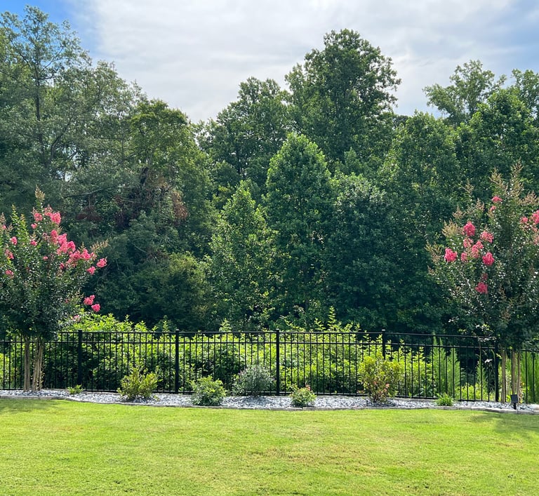 Another view of the back flower bed with azaleas and butterfly bushes between two crepe myrtle trees.