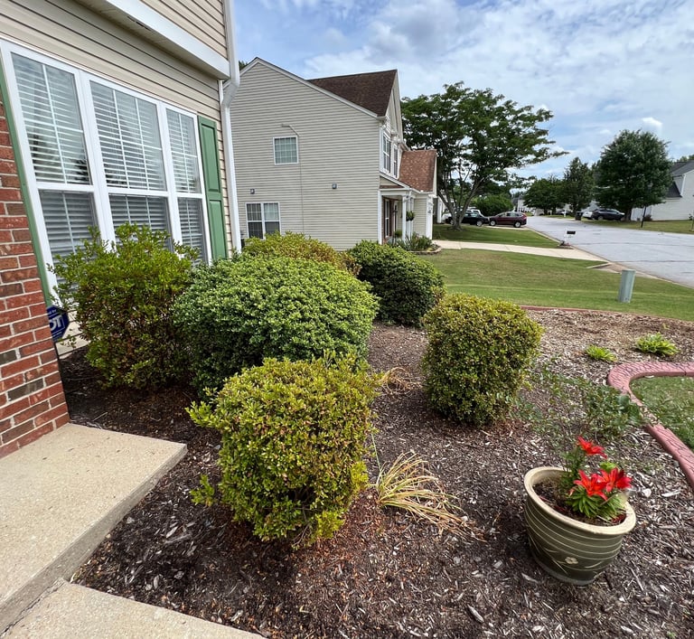 Sideways view of the flowerbed before new plants were installed.