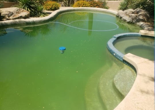 green pool needs correction