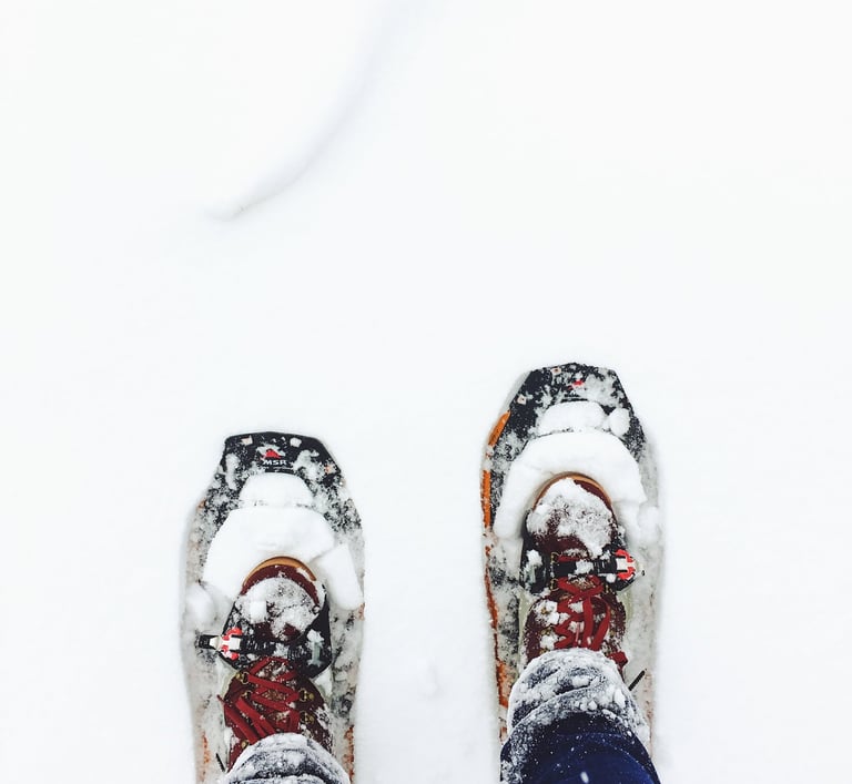 Schneeschuhwanderung in Seefeld