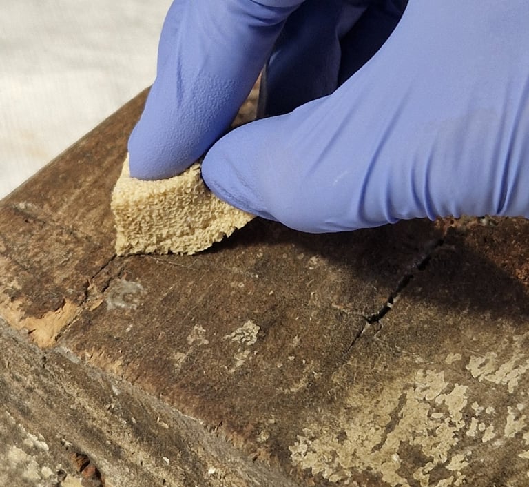 Treatment Latex Sponge Wood
