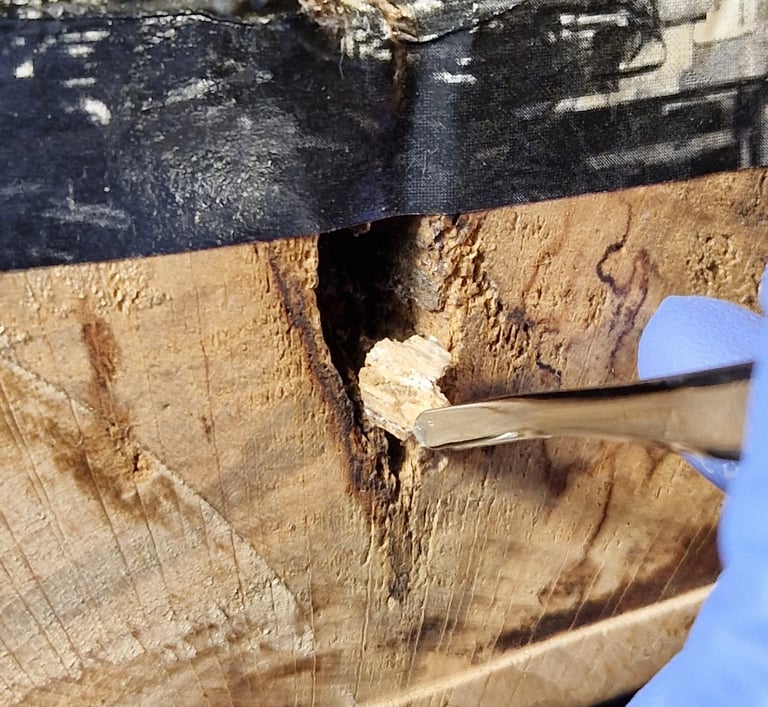 Gaps Wood restoration
