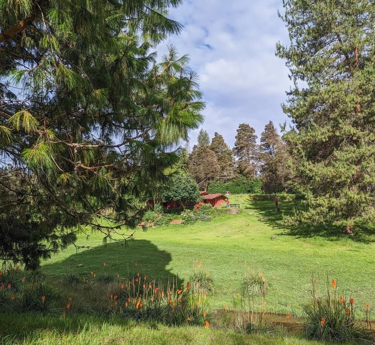 Ampthill downs a farm stay in Poondi.