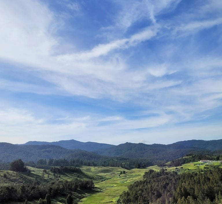 Poondi landscape