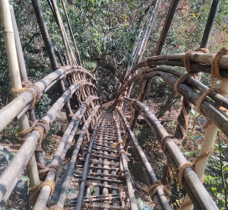 Dangerous Bamboo Trek Meghalaya