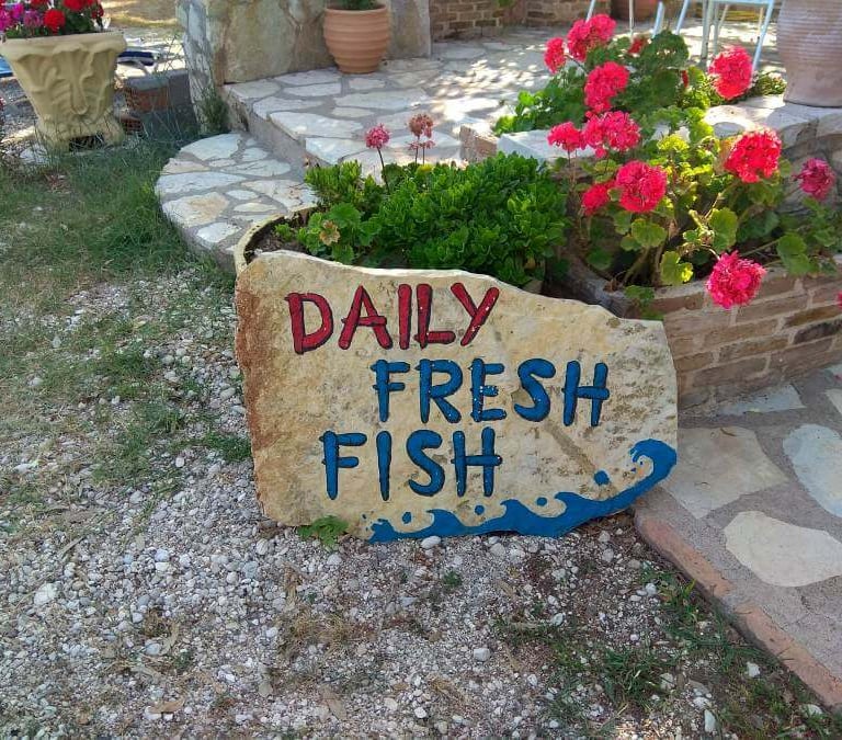 a sign that says daily fresh fish fish