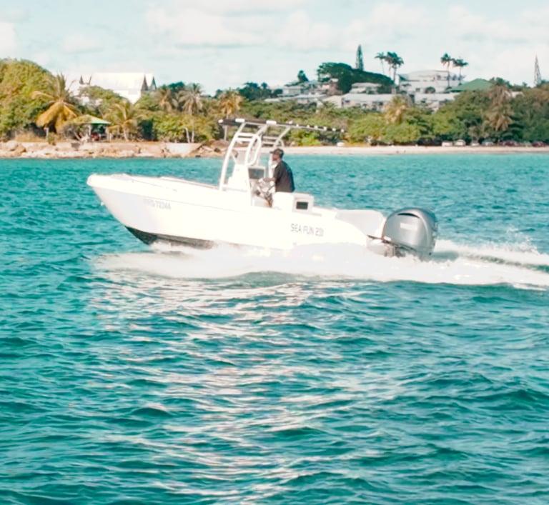 Forboat 23 en navigation côtière le long du littoral guadeloupéen