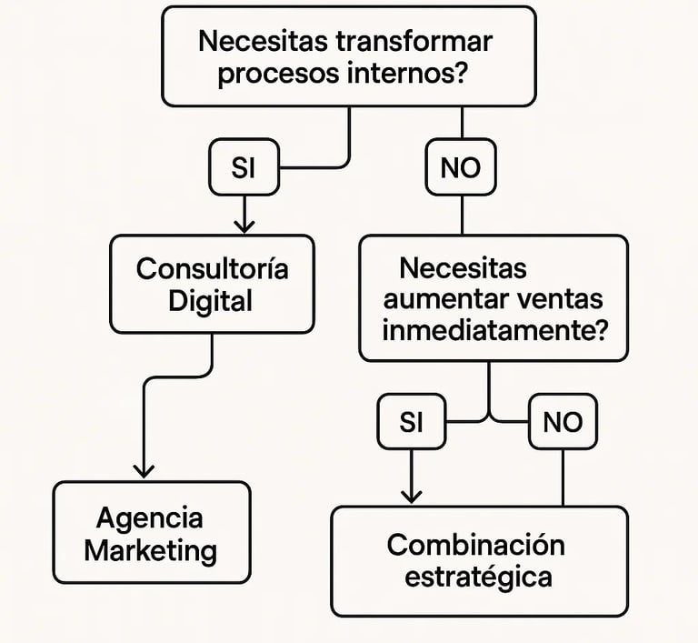 flujo decision consultoria digital agencia marketing eleccion