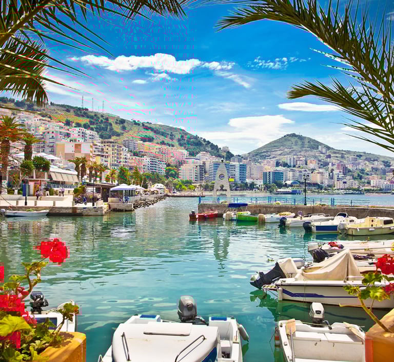 a boat in the water with a palm tree in the background