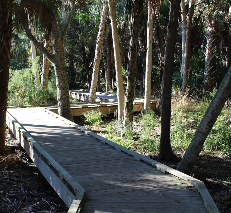 Nature Coast Walking Trails