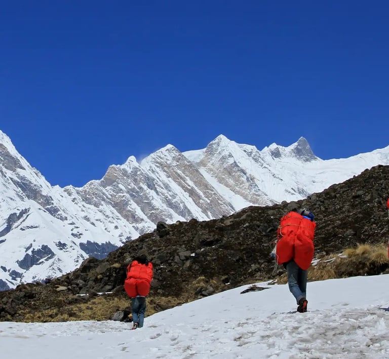 a group of people walking up a snowy mountain