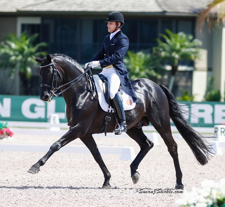 Rick Silvia with famed breeding stallion, Rubinero