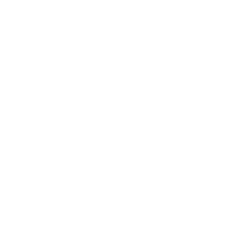 cacao ceremony