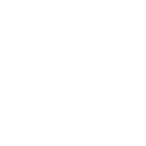 reiki energy healing