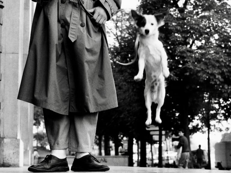 Elliott Irwitt photo of levitating dog