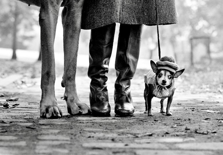 Elliott Irwitt photo 2 dogs and a woman