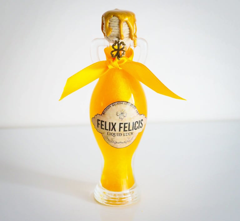 Felix Felicis Liquid Luck - Potion magique décorative Harry Potter