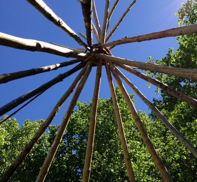 Tipi Poles