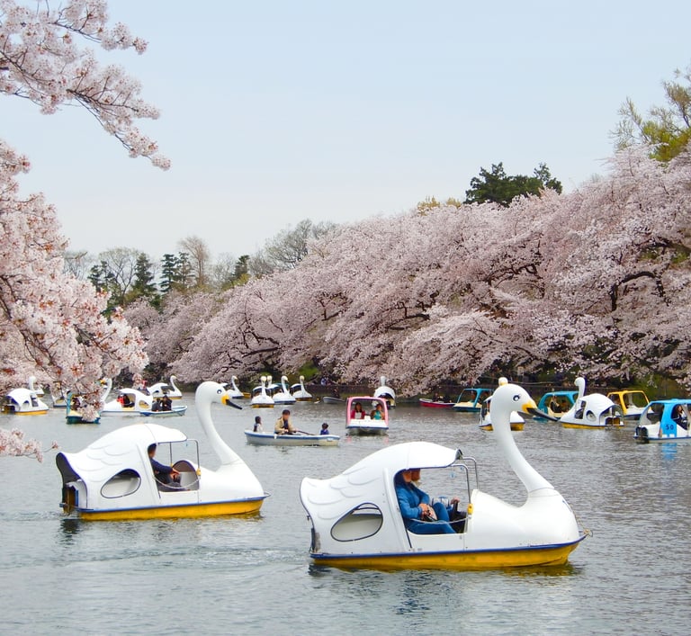 Inokashira Park