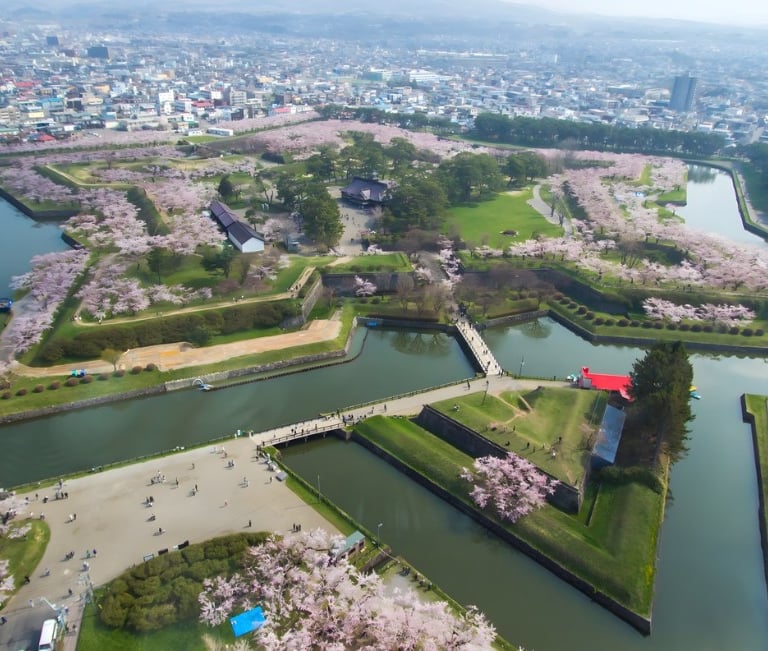 Goryokaku in Hakodate in sakura season