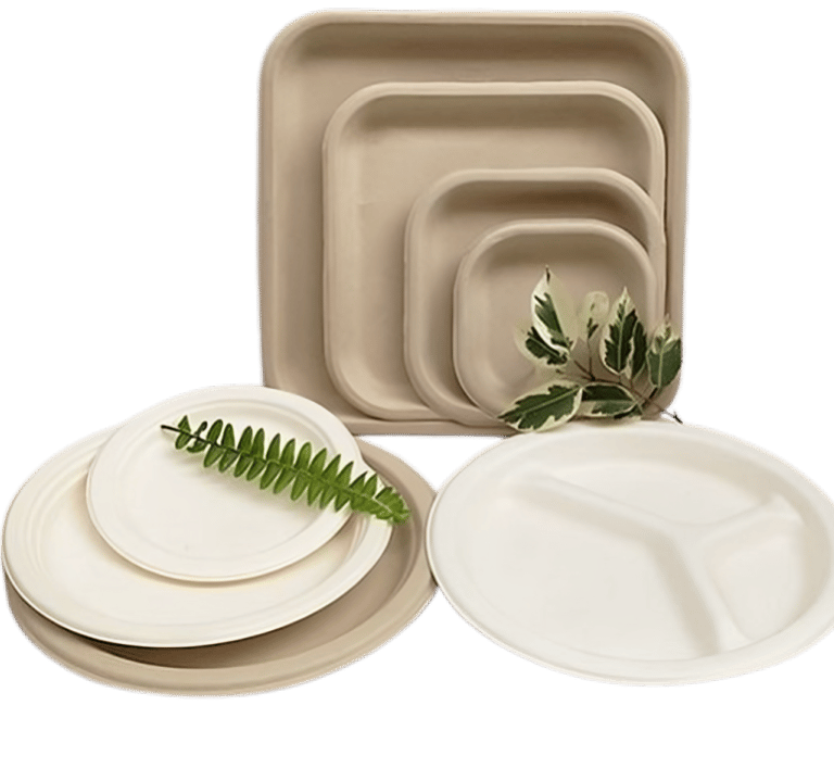 a plate with a fern leaf on it