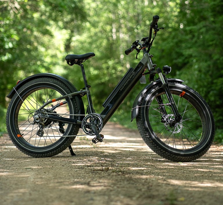 a electric fat tire bicycle with a black frame and a black seat