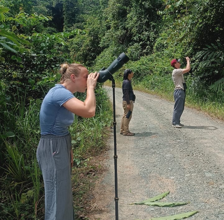 a visitor is observing an orang-utan with a telescope