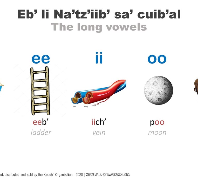Image containing the K'eqchi' long vowels with a picture representing each