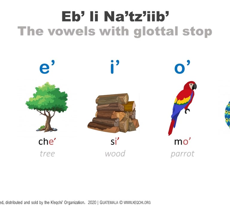 Image containing the K'eqchi' vowels with a glottal stop and with a picture representing each
