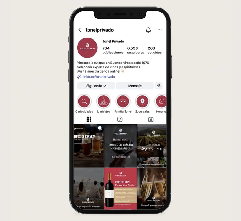 portfolio marketing digital redes sociales tonel privado Guvine