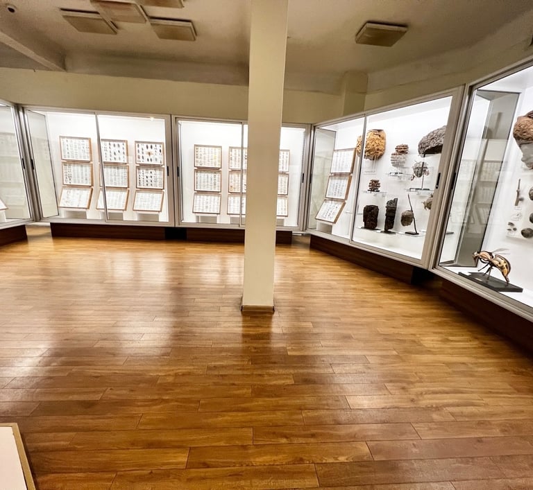 Amtico LVT grindys