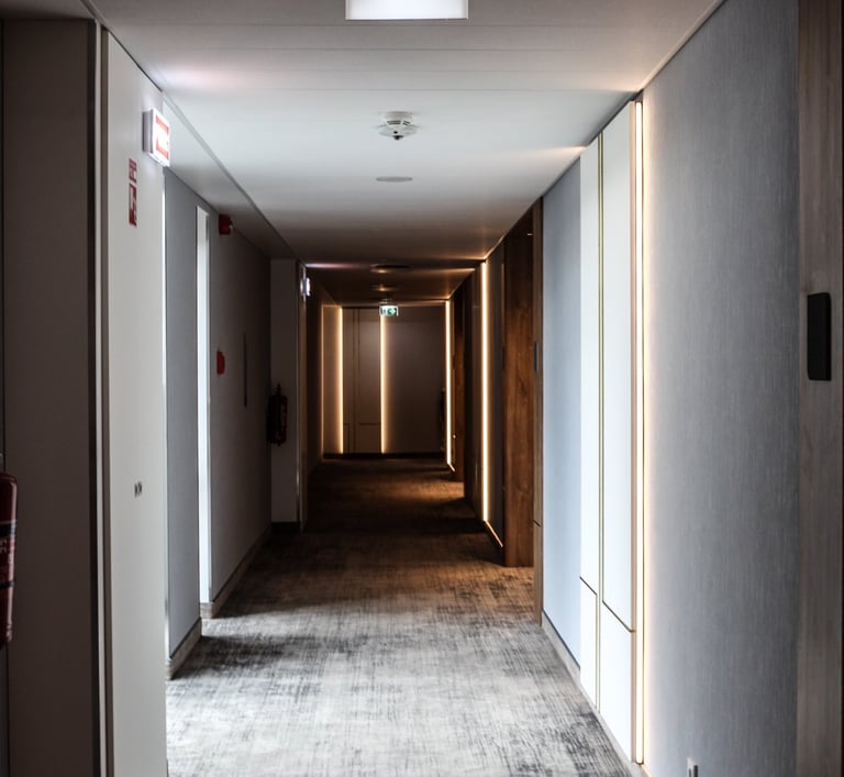 Vescom sienu danga viesbuciams