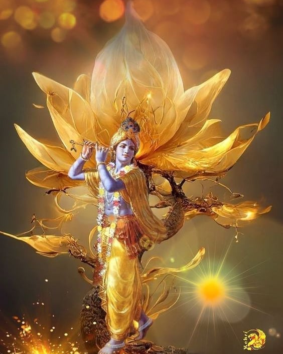 krishna is the supreme person