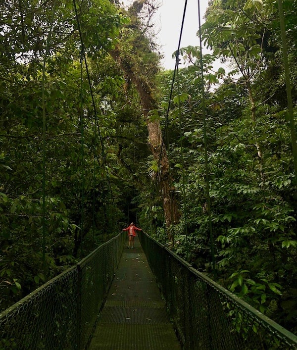 Hängebrücken Selvatura Park Monteverde Costa Rica